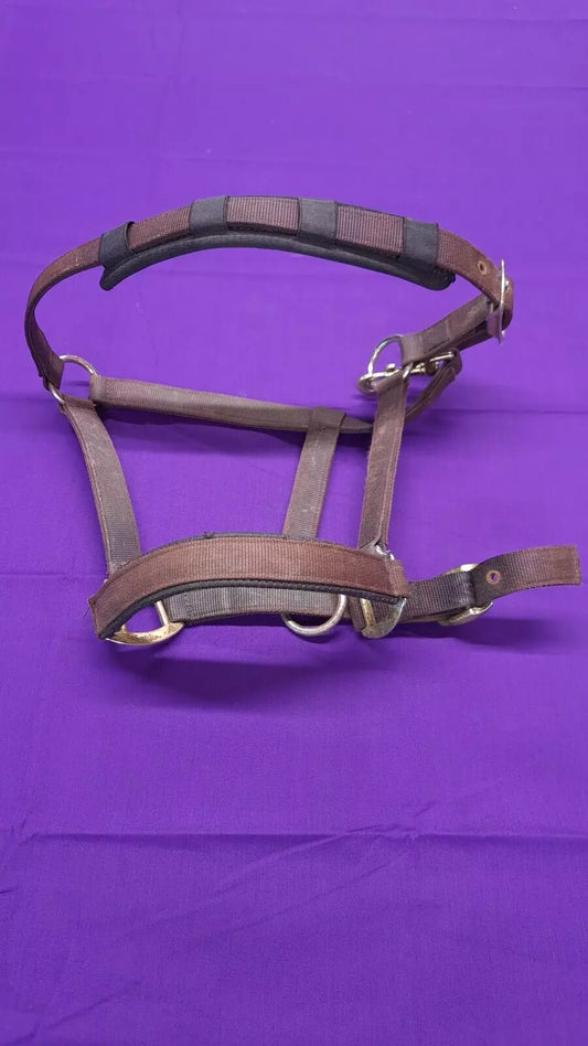 Brown HY Headcollar Brown Full