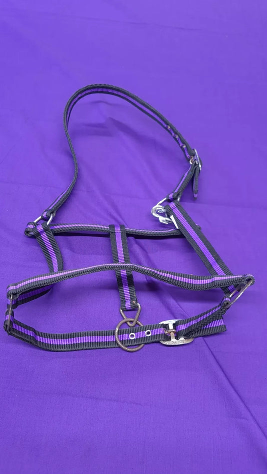 Headcollar Full Purple And Black Horse