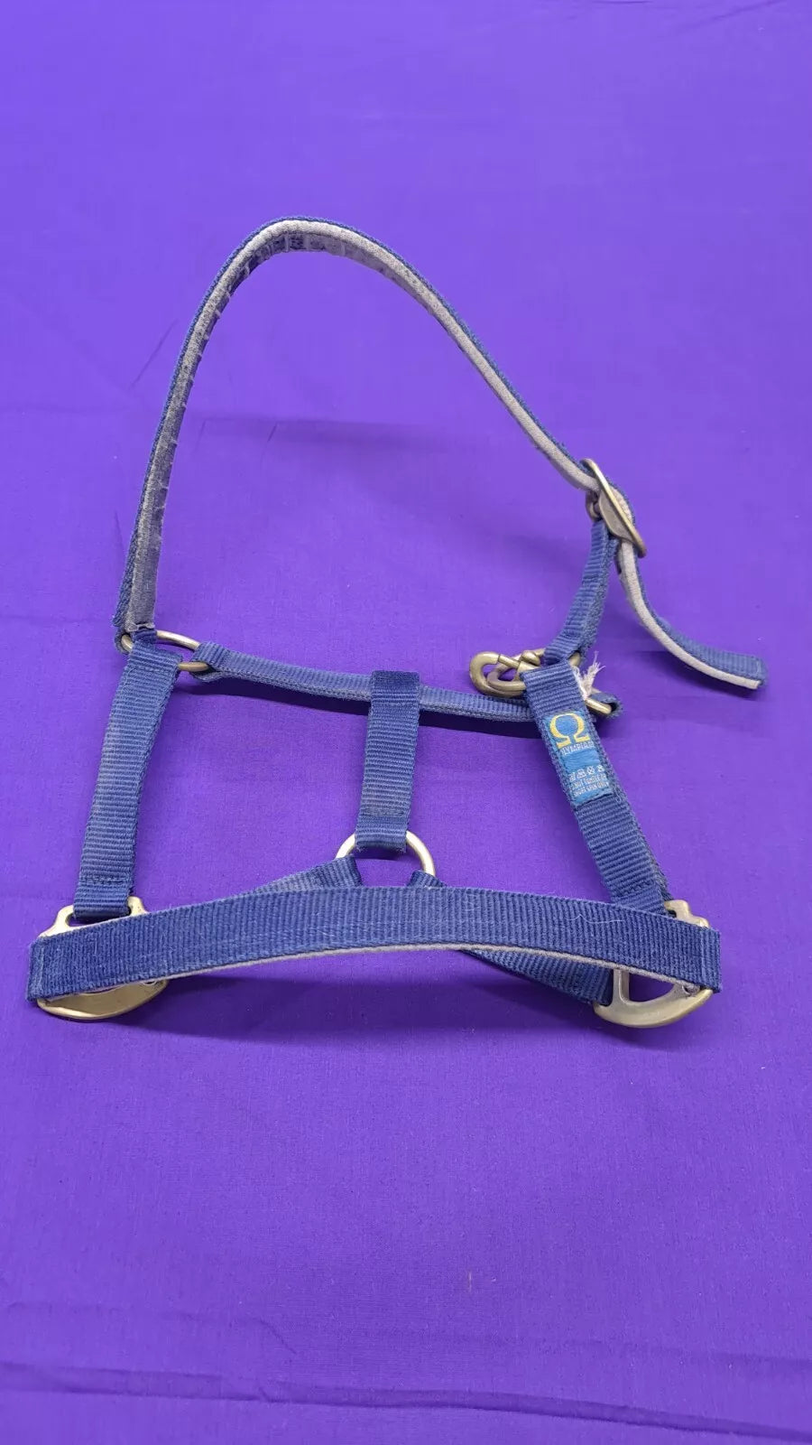 Headcollar Olympian Cob Navy