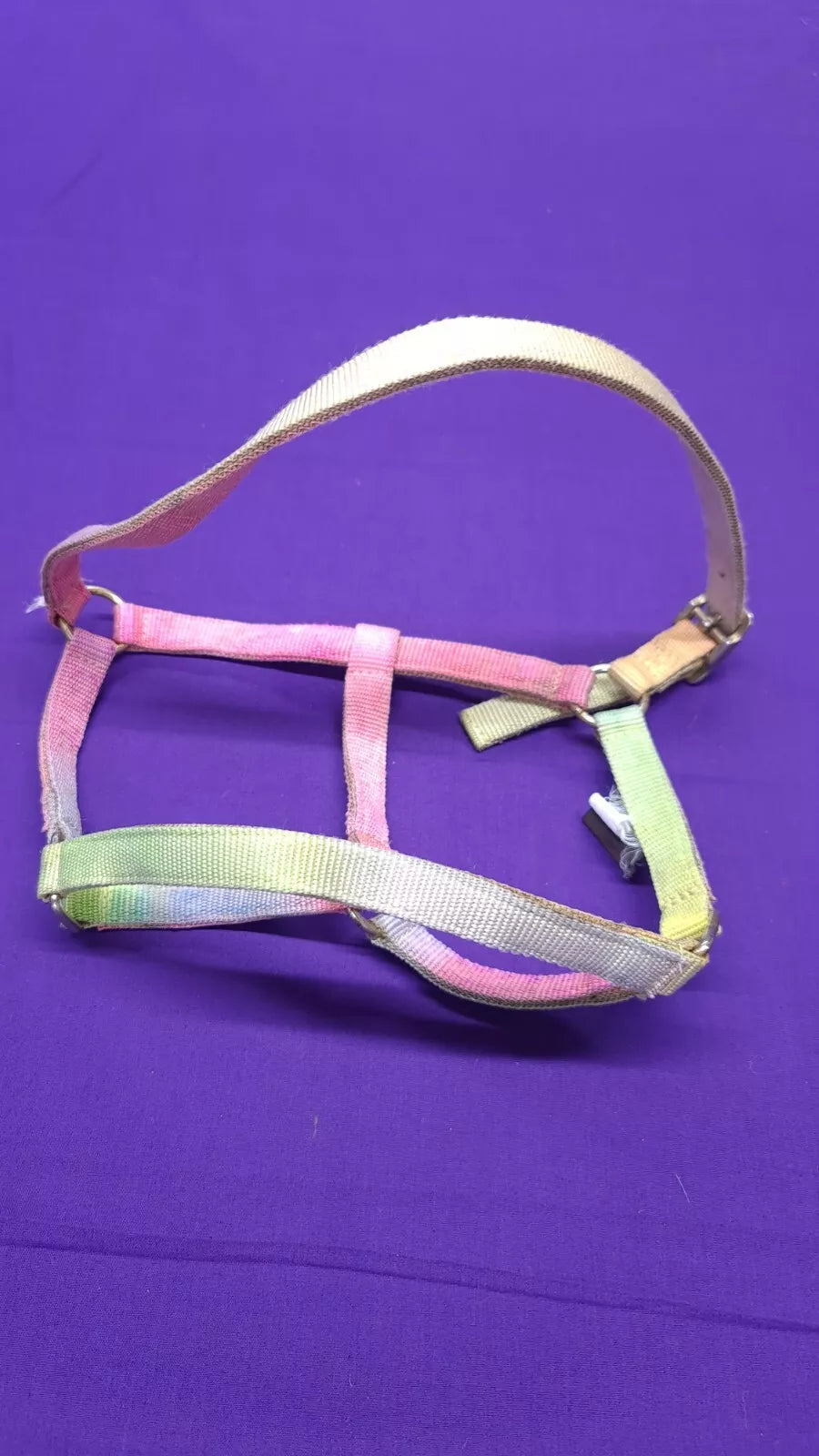 HKM Rainbow Foal Headcollar