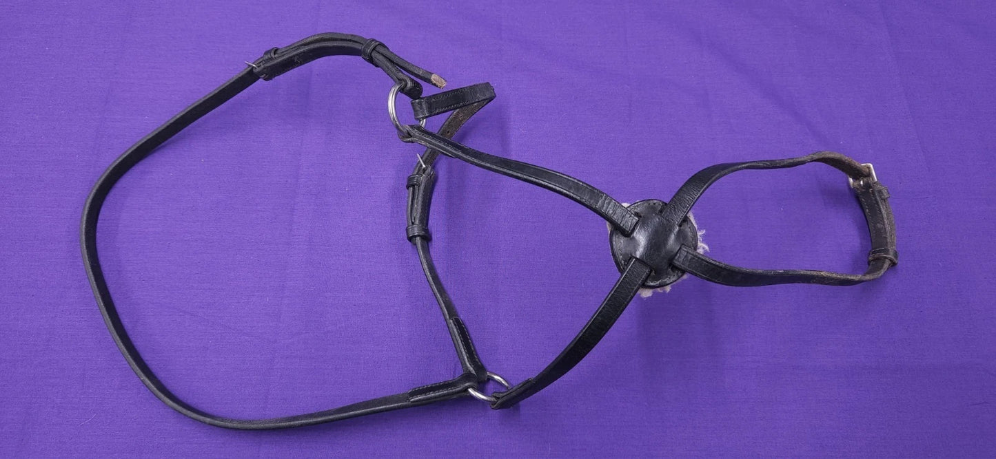 Full Size Black Horse Grackle Noseband BR422
