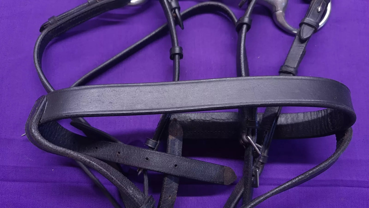 Double Bridle Pony Black Leather With Bits And Reins