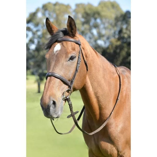 Kincade Brown Extra Full Leather Raised Cavesson Bridle