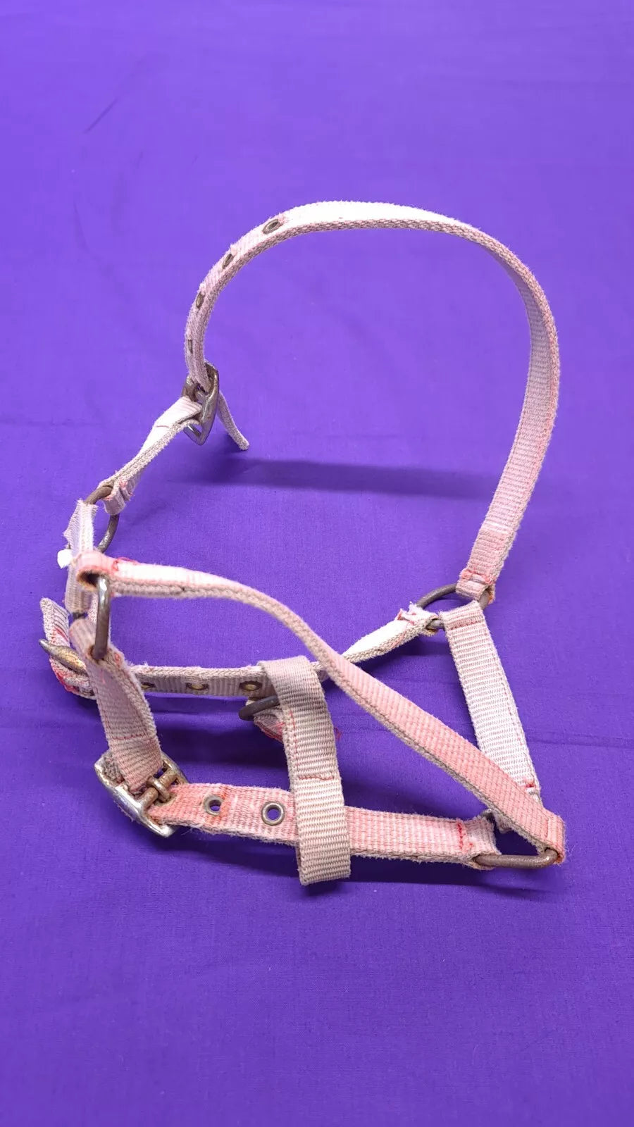 Foal Head Collar Pink