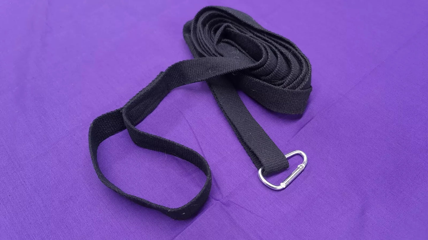 Long Lead Training Line 16ft Black Webbing Dog Horse