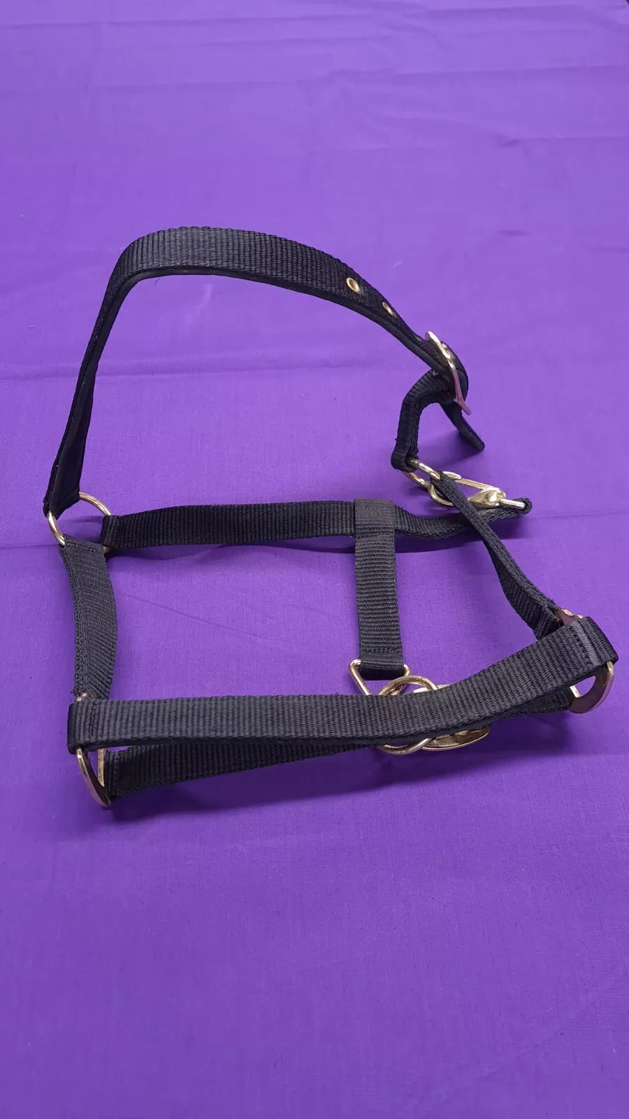 Gallop Black Headcollar Pony