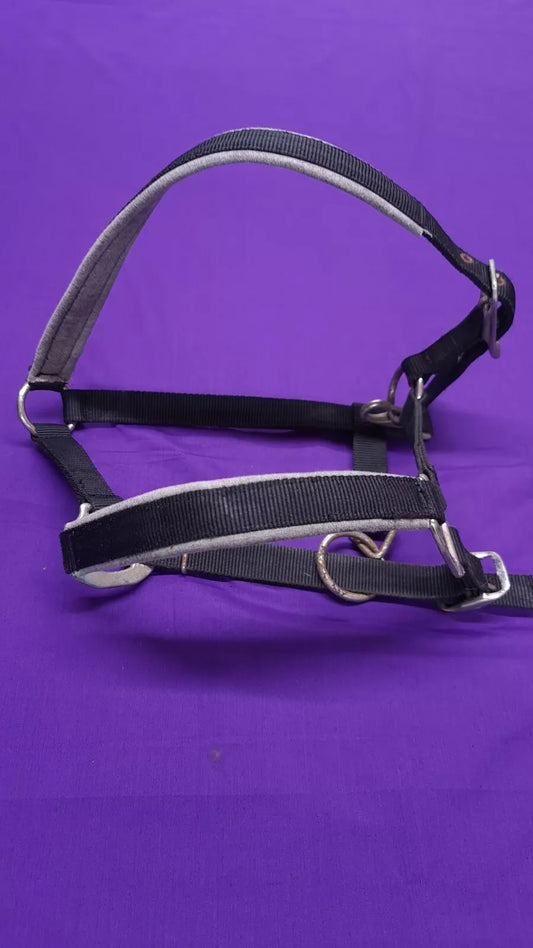 Headcollar Shires Black Pony