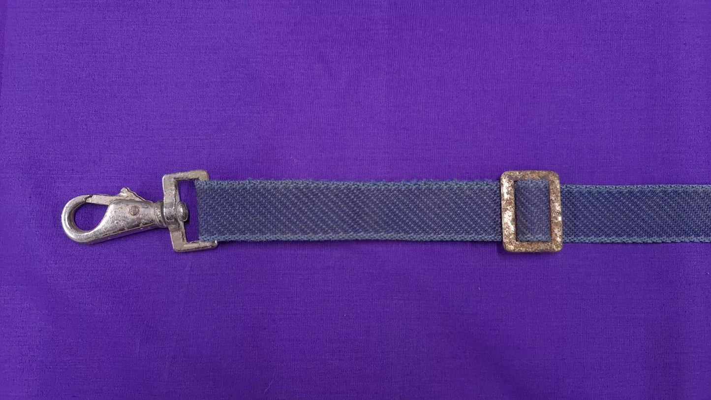 Leg Strap For Horse Rug Blue