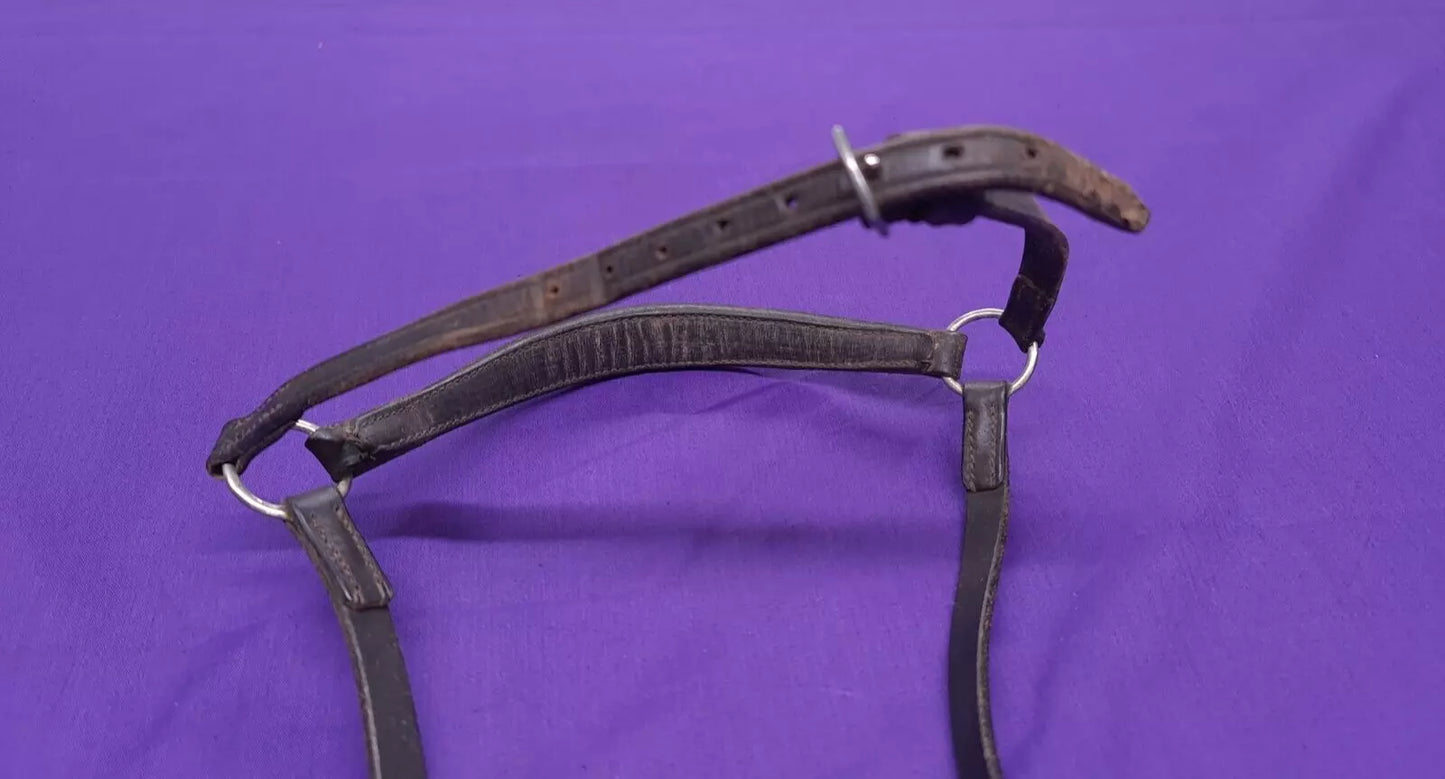 Brown Drop Noseband Full Size