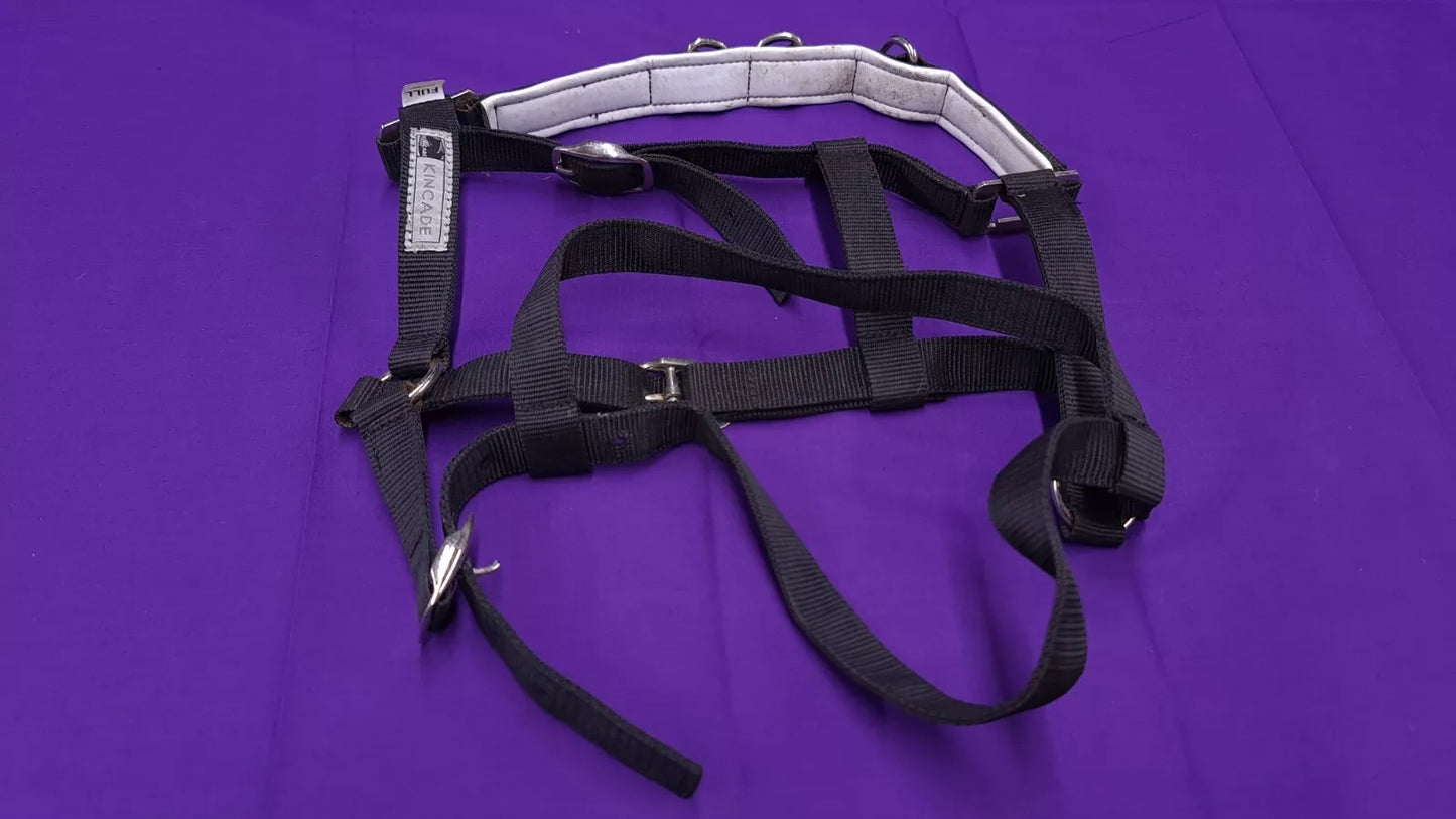 Full Sized Kincade Black Lunging Cavesson Horse Headcollar