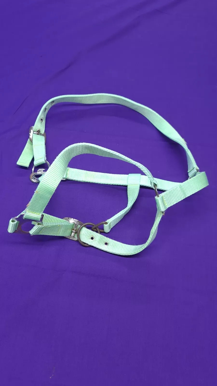 Headcollar Light Mint Green Horse Full