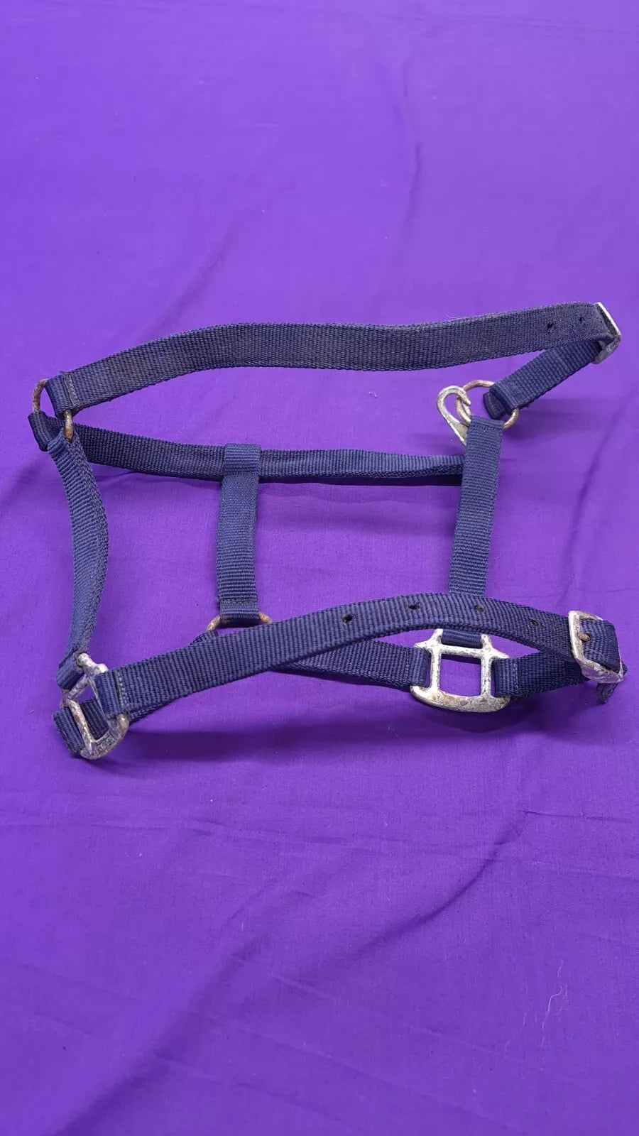 Headcollar Navy Shires Cob