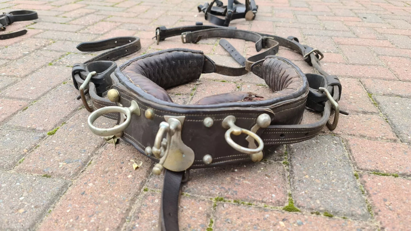 Vintage Driving Harness