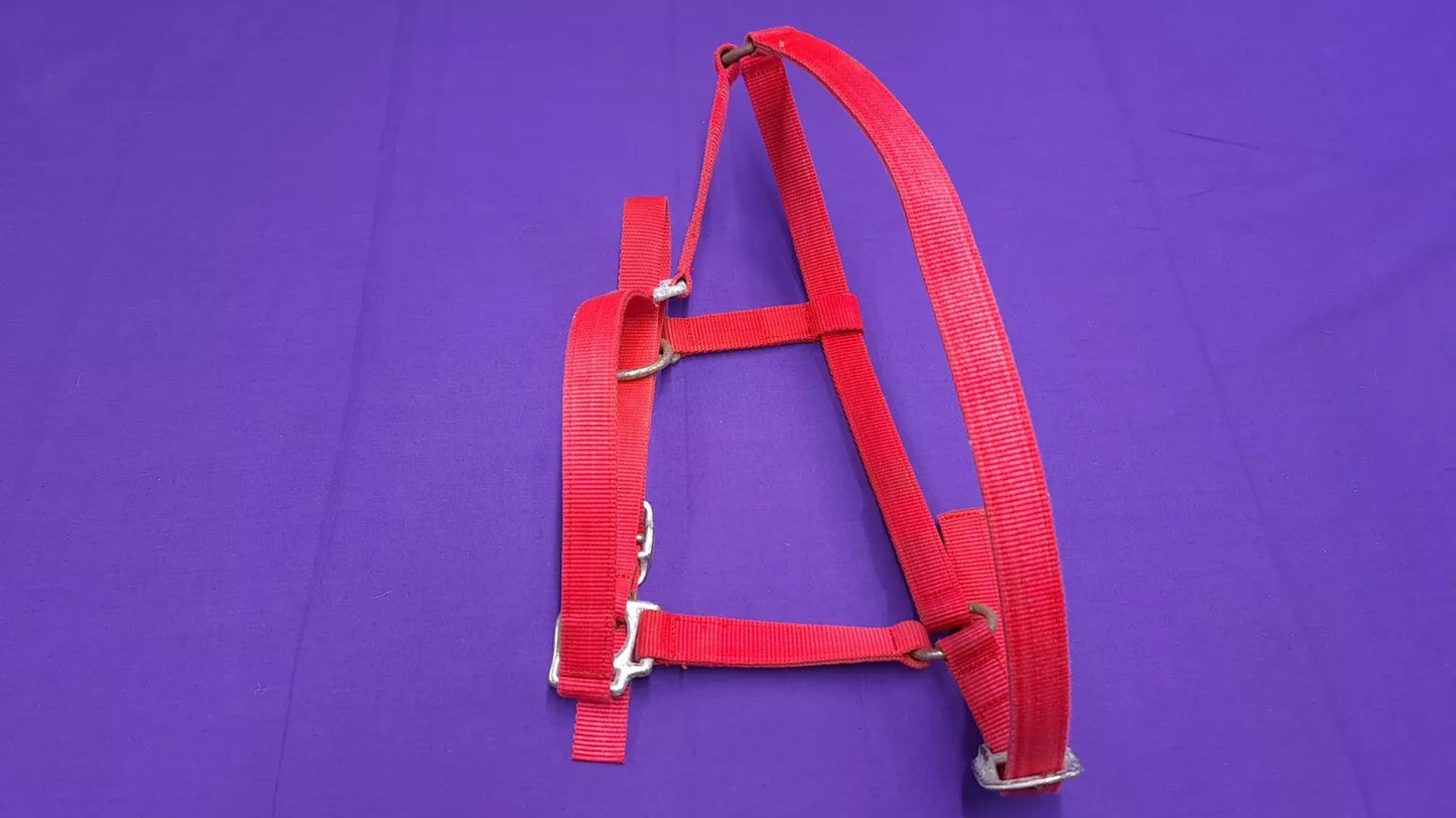 Headcollar Full Red