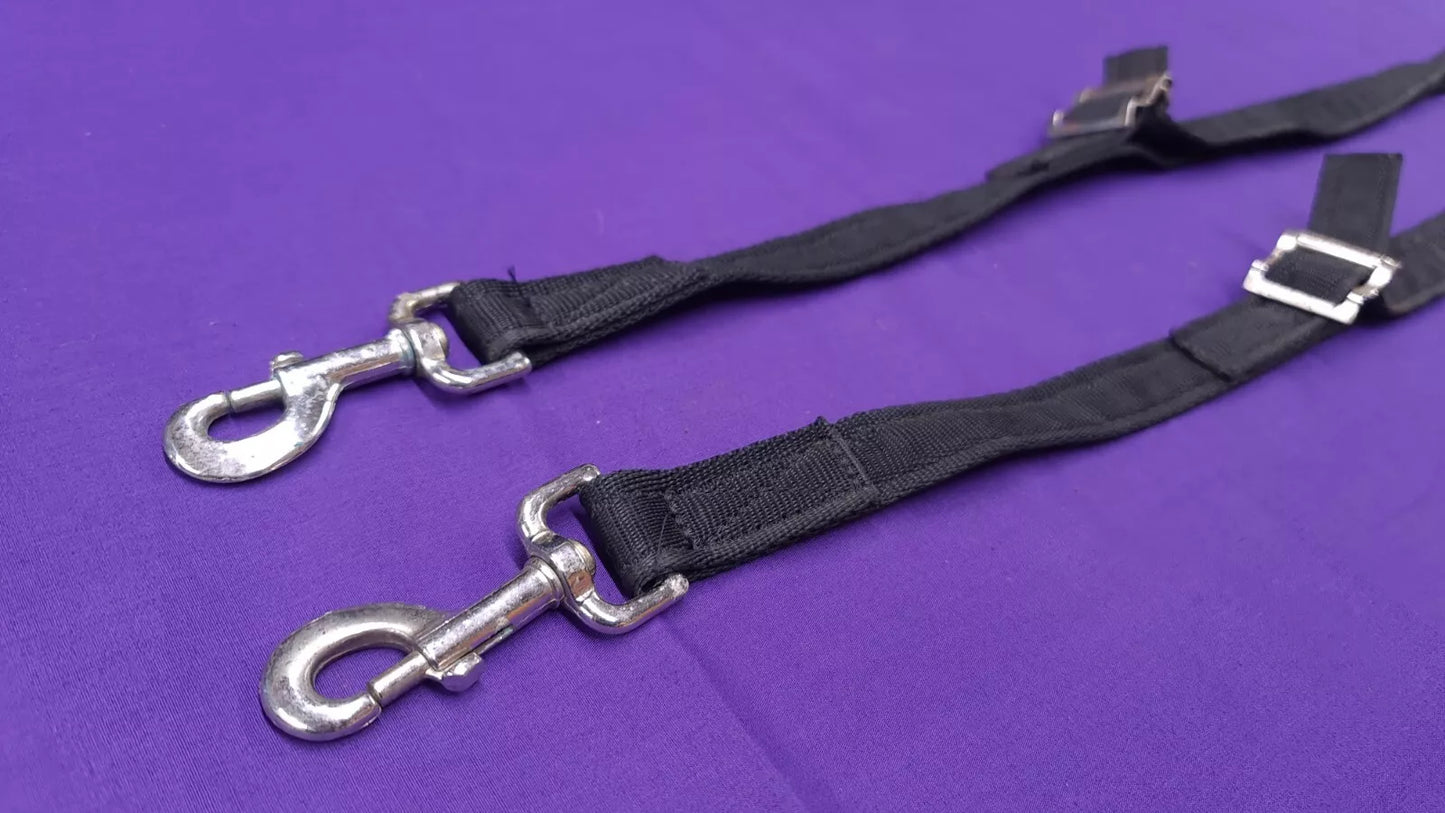 Training Aid Possible Side Reins