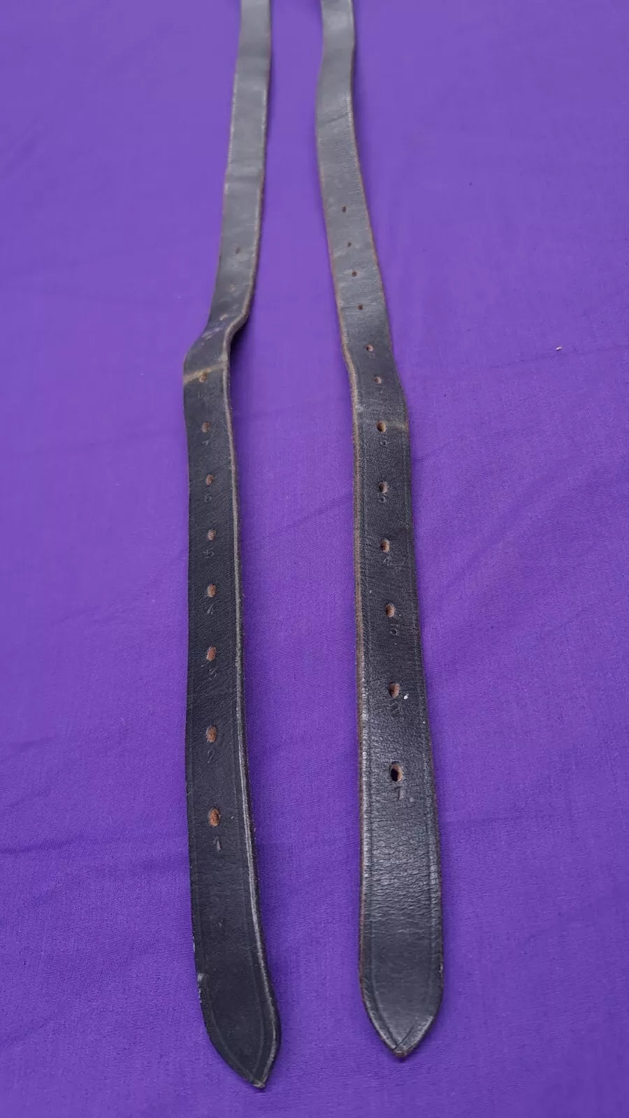 Stirrup Leathers Black 58"