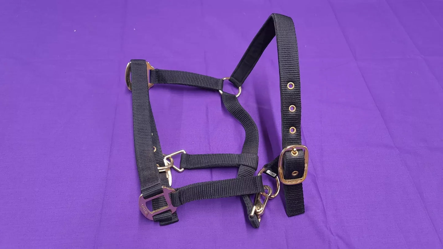 Gallop Black Headcollar Pony