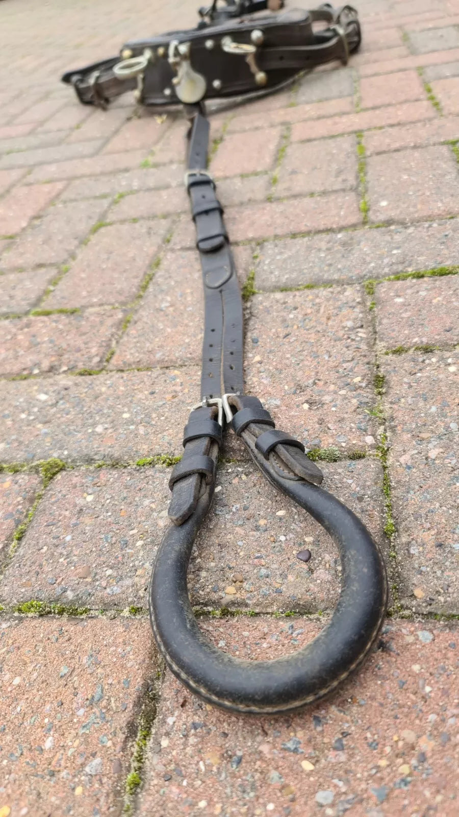 Vintage Driving Harness