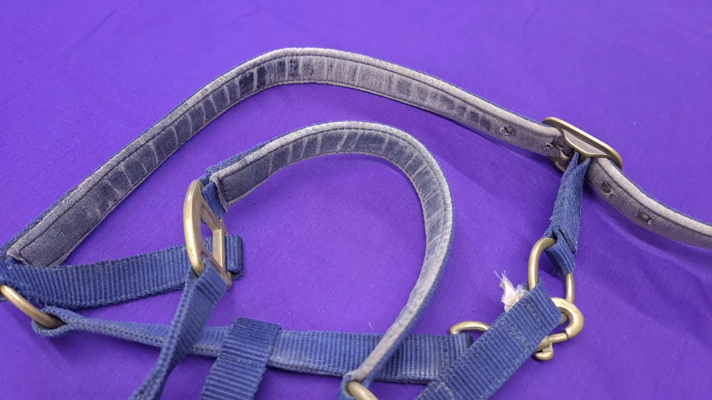 Headcollar Olympian Cob Navy