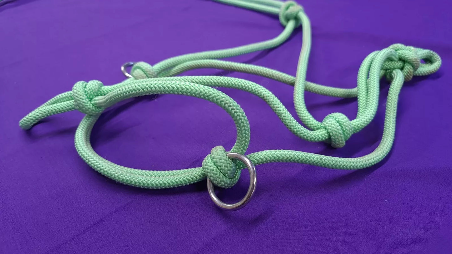 Rope Halter In Light Green Cob Size