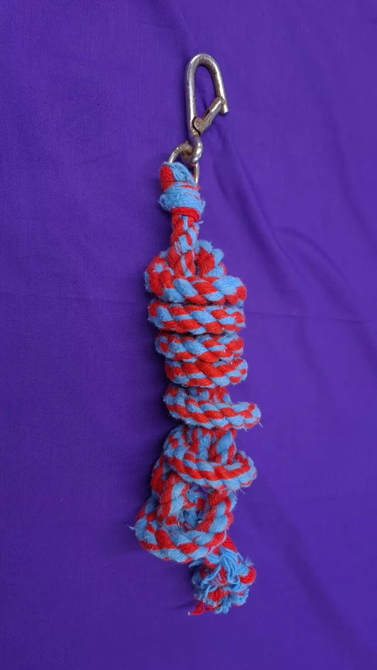 Lead Rope In Baby Blue And Red Horse