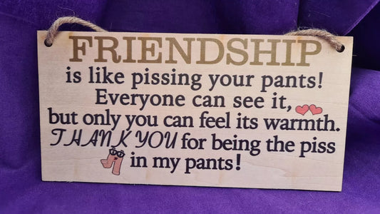 Friendship Humorous Wooden Sign