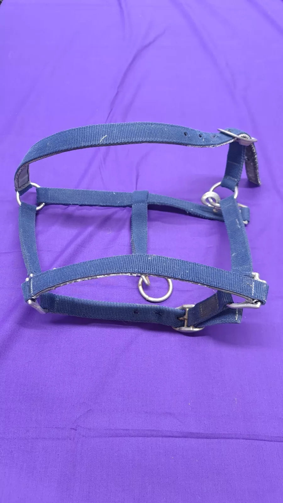 Headcollar Horsewear Navy Full