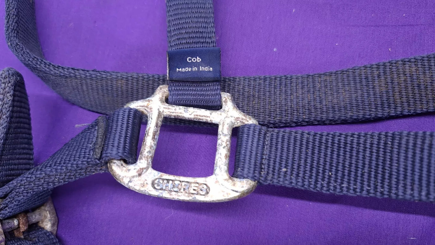 Headcollar Navy Shires Cob