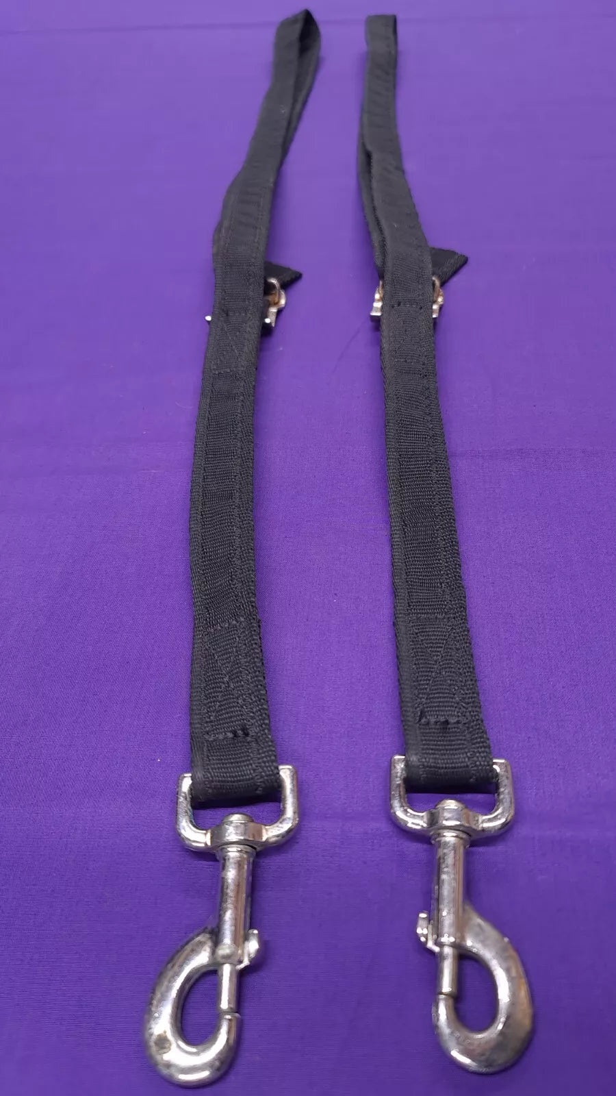 Training Aid Possible Side Reins