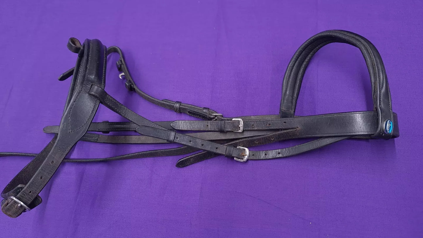 Collegiate Pony Cavesson Bridle With Flash Attachment