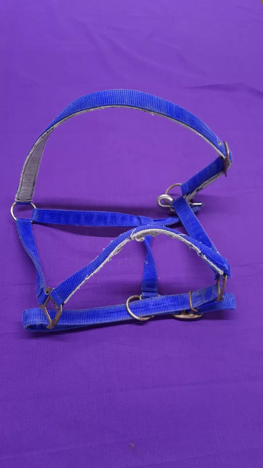 Andy Tack Royal Blue Full Headcollar