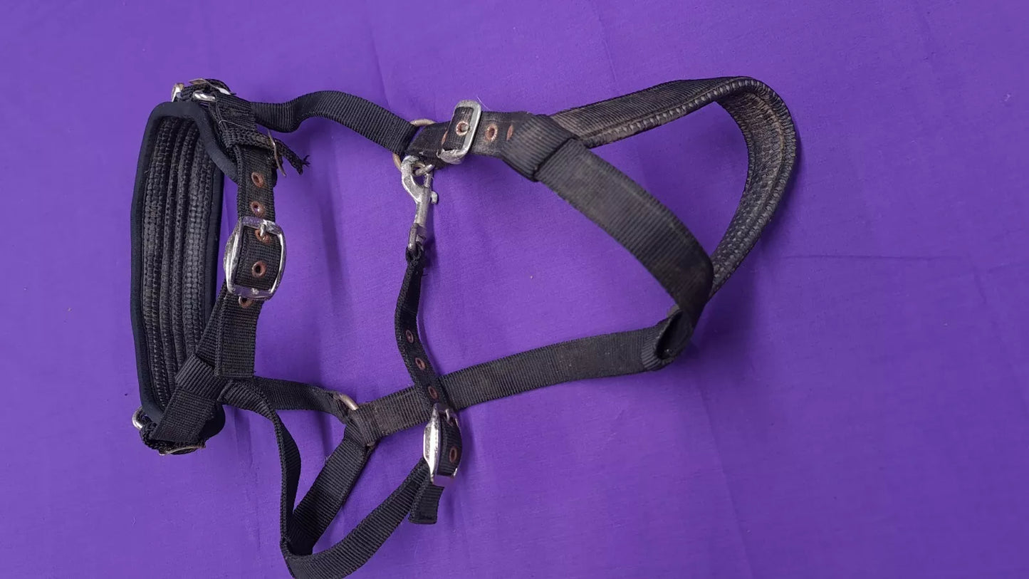 Lunging Headcollar Cavesson Black Full