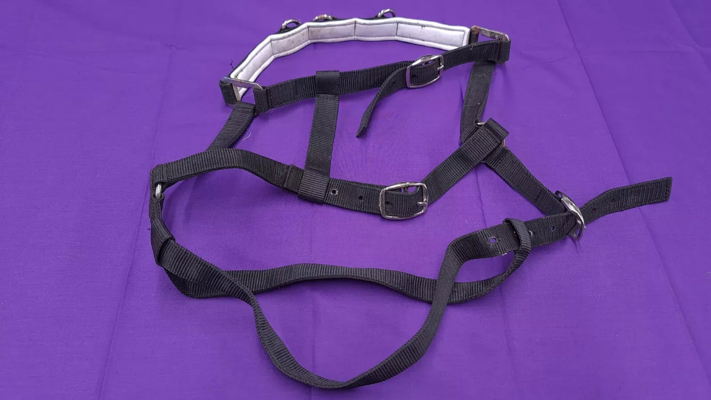 Full Sized Kincade Black Lunging Cavesson Horse Headcollar