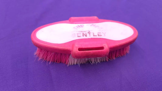 Bentley Pink Horse Body Brush Horse Grooming Kit