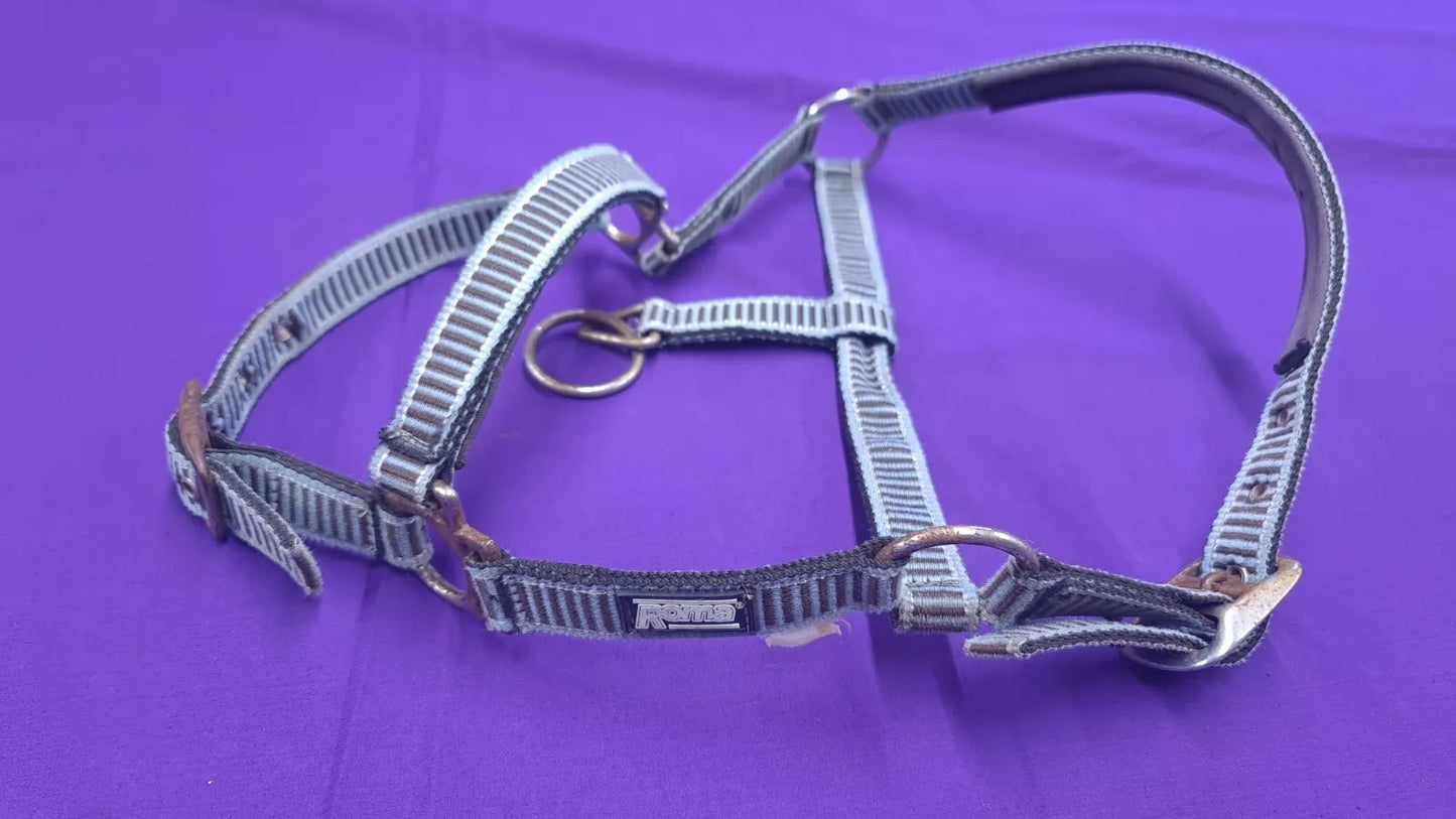 Headcollar Roma Blue And Black Pony