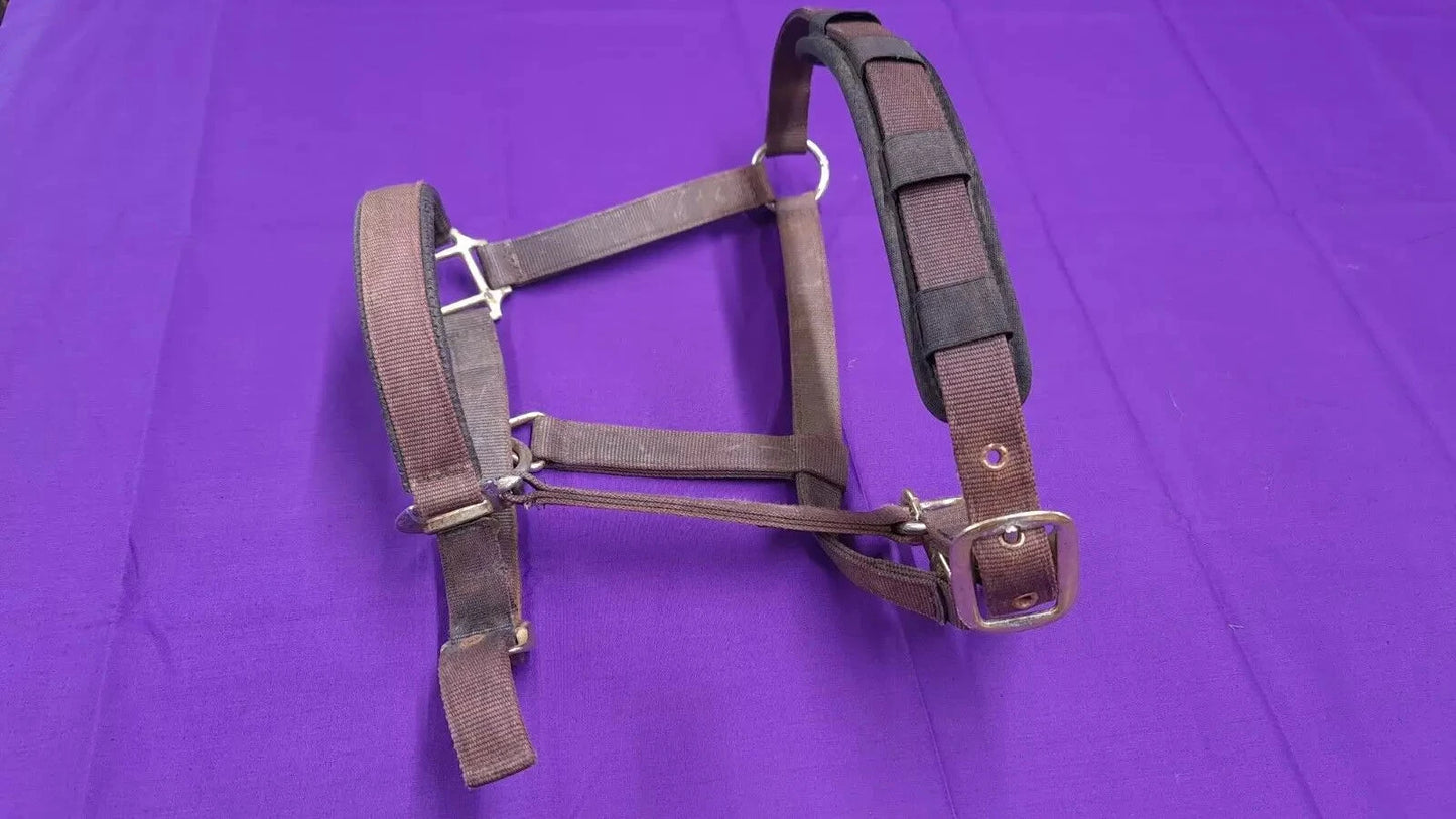 Brown HY Headcollar Brown Full