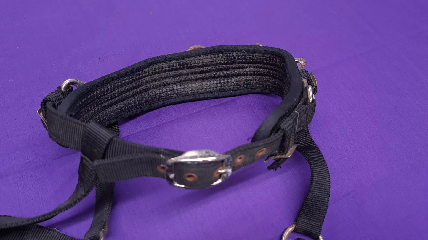 Lunging Headcollar Cavesson Black Full