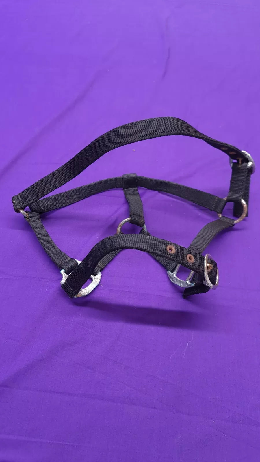 Headcollar Black Shires Cob