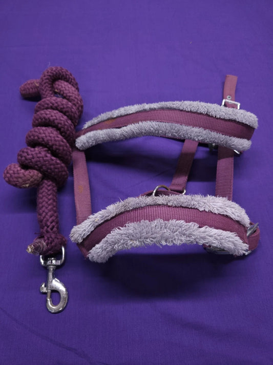 HY Sport Active Full Size Purple And Grey Comfort Horse Headcollar And Lead Rope HC84