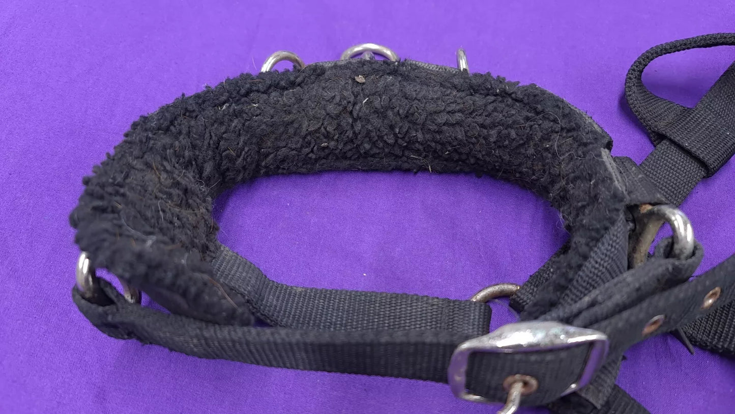 Shires Heavy Duty Fleece Lined Lunging Cavesson Headcollar Full Sized