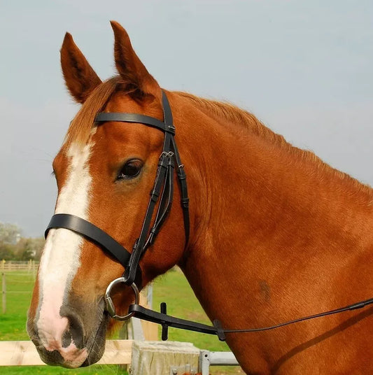 Heritage Hunter Bridle With Wide Cavesson Noseband In Black Cob Sized