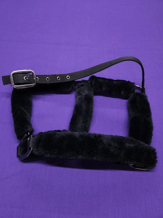 LeMieux Pony Size Black Fleece Comfort Horse Headcollar HC80