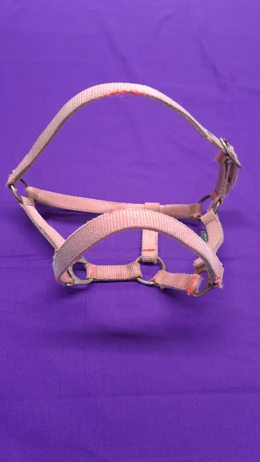 Wessex Foal Headcollar In Pink