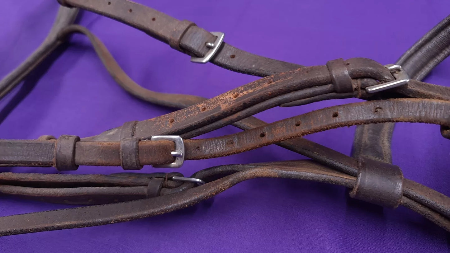 Kincade Brown Full Cavesson Bridle