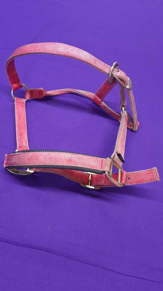 Shires Pink Headcollar Cob