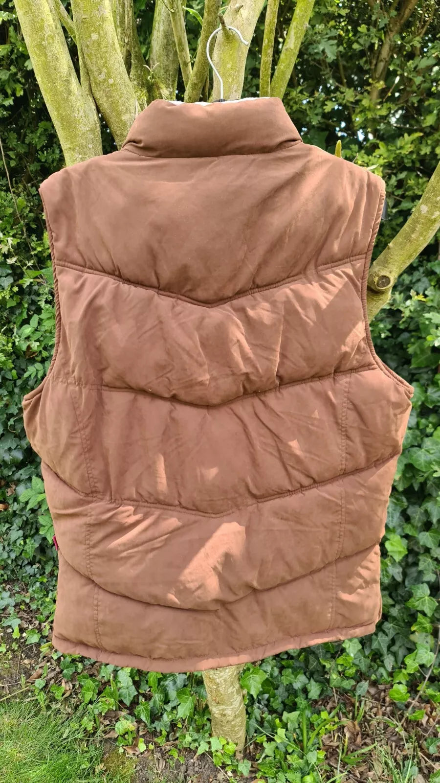 Gilet Bodywarmer Brown XXL Regents View Country Wear Padded