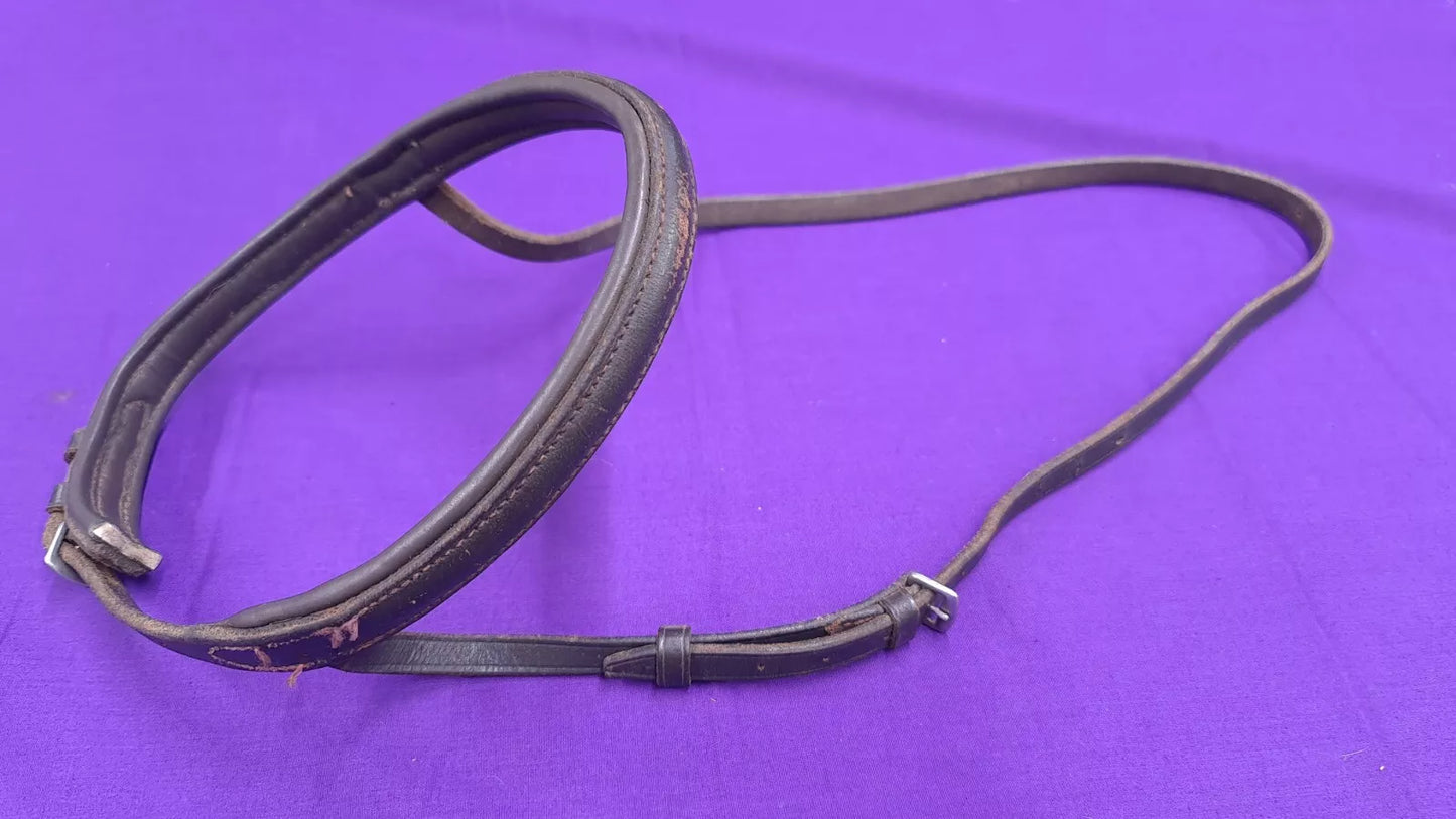 Brown Noseband And Headpiece Full Size