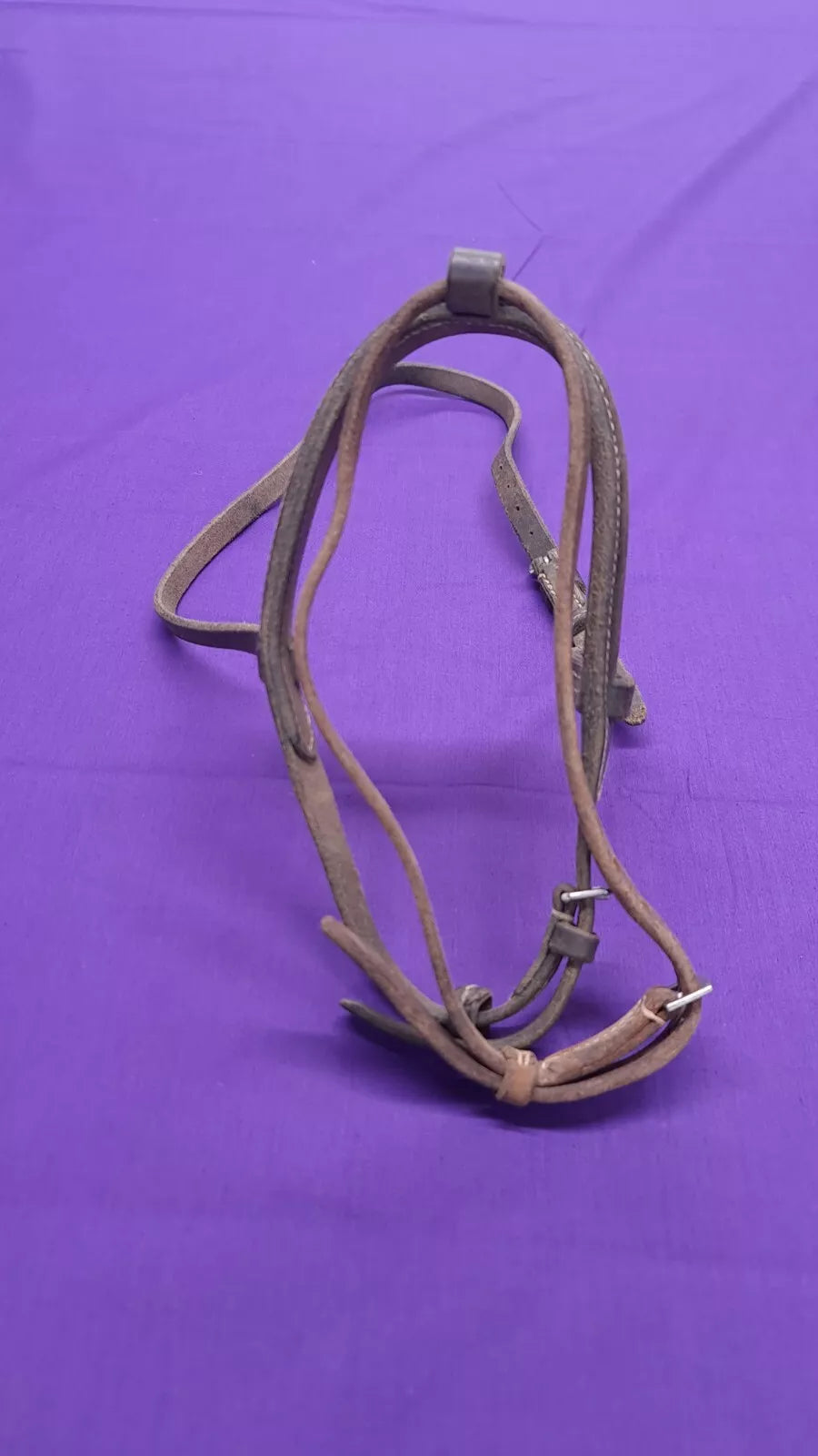 Noseband And Flash Pony Sized Brown Horse Bridle Part