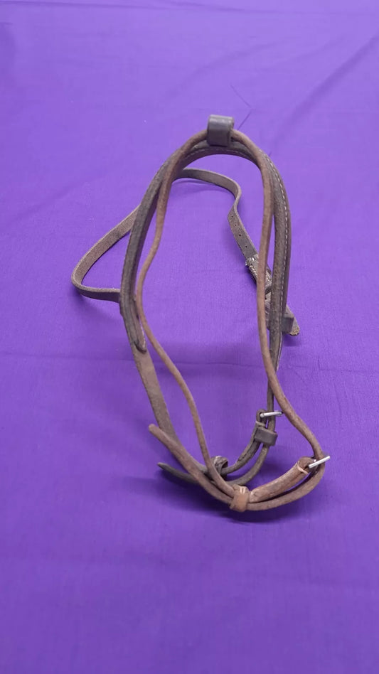 Noseband And Flash Pony Sized Brown Horse Bridle Part