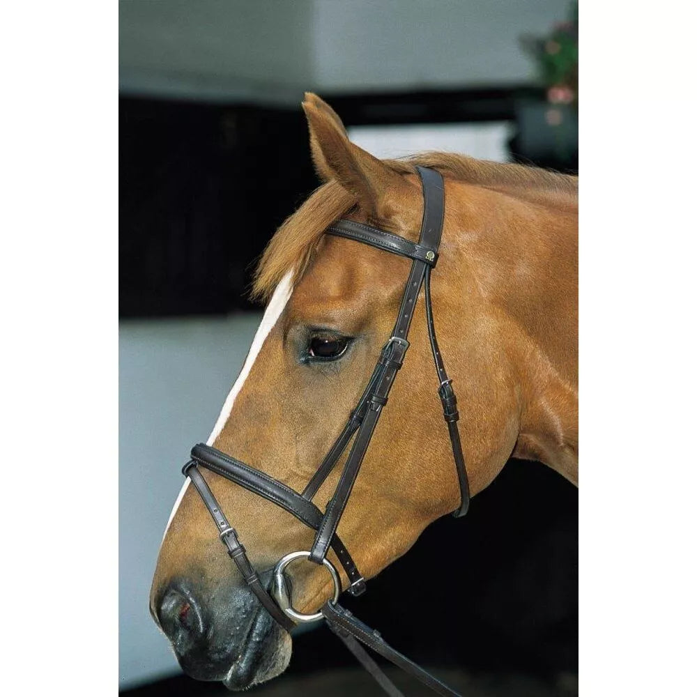 JHL Pro Bridle With Flash And Reins Black Full